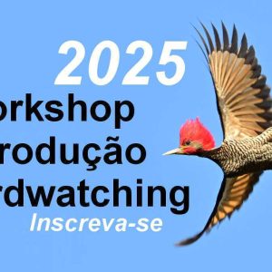 Workshop Introdução Birdwatching